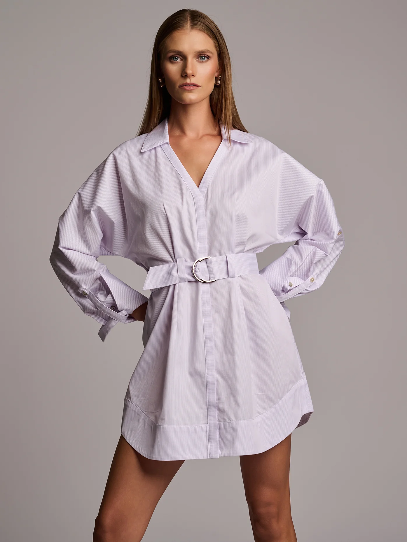AUDREY DRESS  - THISTLE STRIPE - Image 2