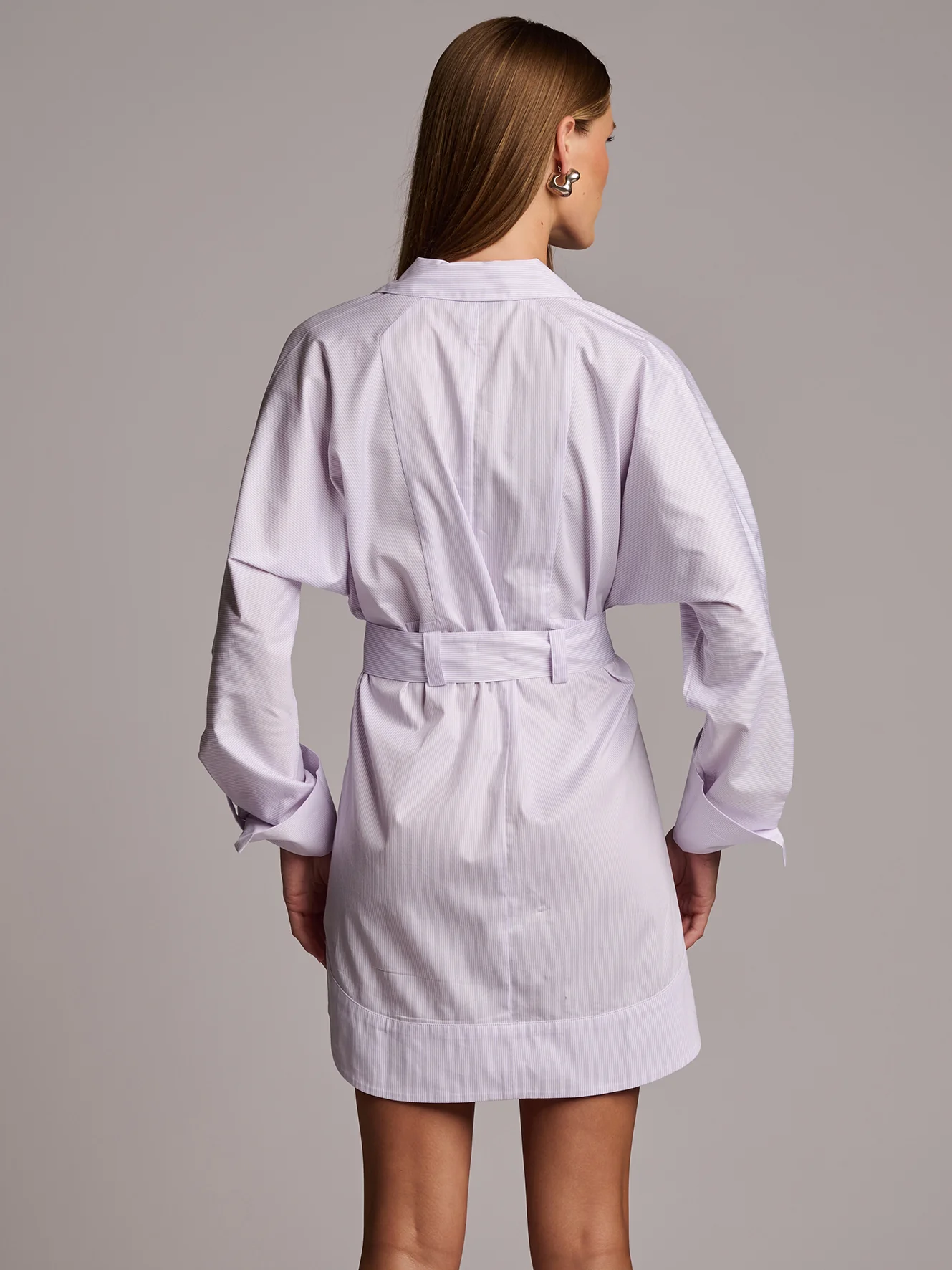 AUDREY DRESS  - THISTLE STRIPE - Image 3
