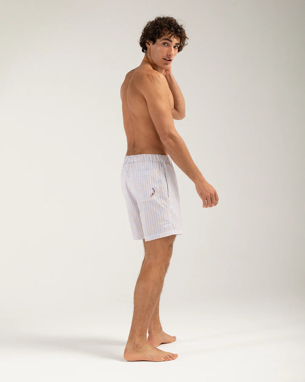 Fine Stripe Cotton Shorts - Image 3