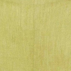Universal Short - Image 2